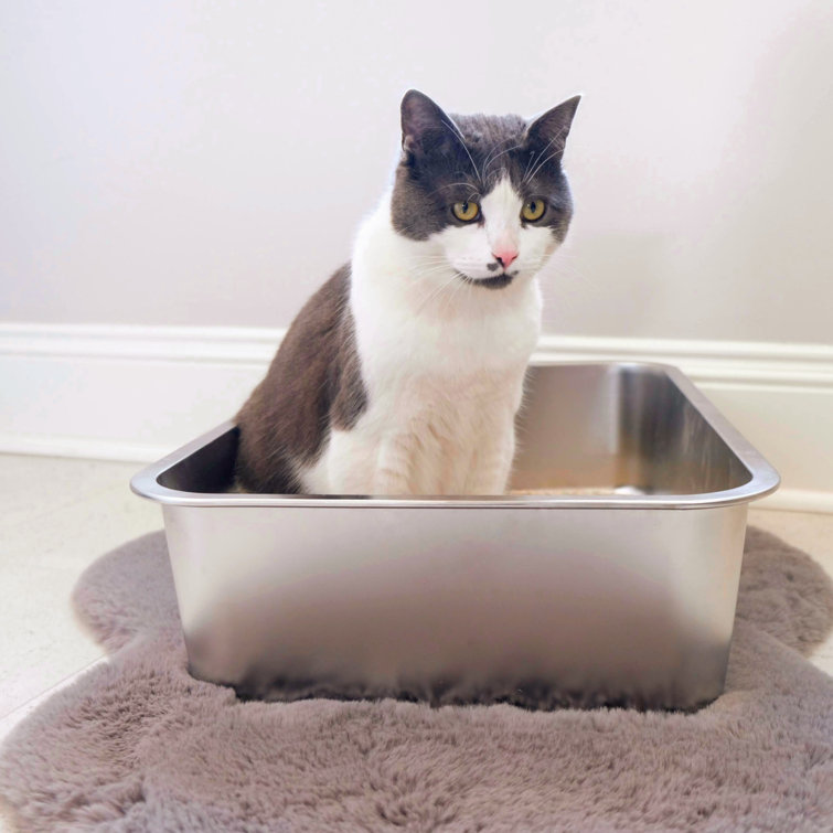 Tucker Murphy Pet™ Koreana Metal Standard Litter Box & Reviews Wayfair